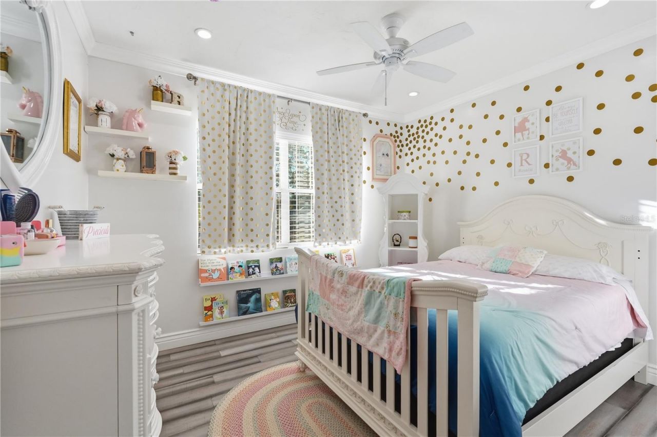 2415 16th Street N, Saint Petersburg, FL 33704 Photo