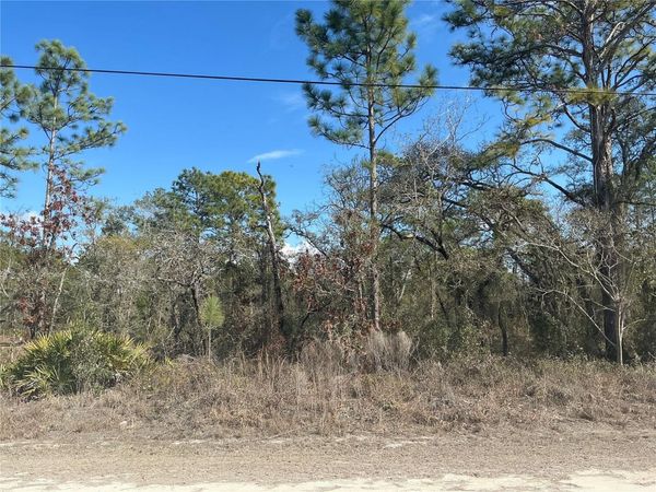 11072 HYDE STREET , WEEKI WACHEE, FL 34614