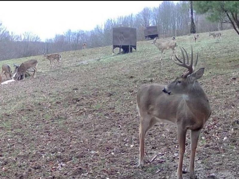 NE Avon Road, Carrollton, OH 44615 Photo 10