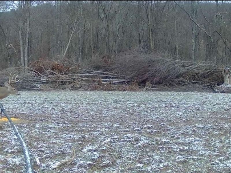 NE Avon Road, Carrollton, OH 44615 Photo 11