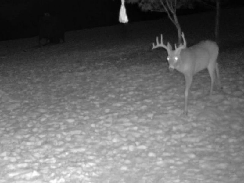 NE Avon Road, Carrollton, OH 44615 Photo 12