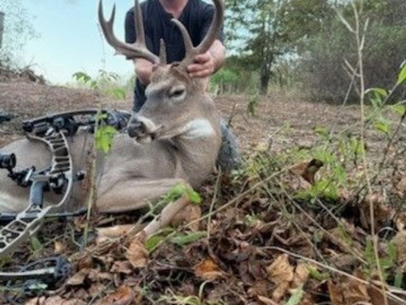 NE Avon Road, Carrollton, OH 44615 Photo 13