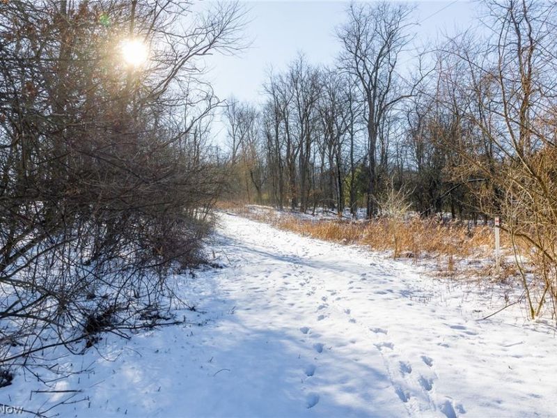 NE Avon Road, Carrollton, OH 44615 Photo 16