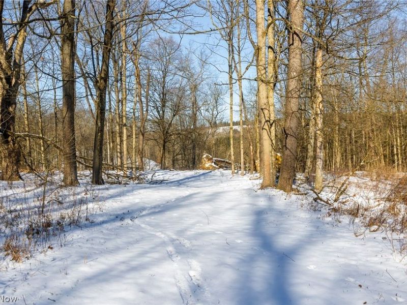 NE Avon Road, Carrollton, OH 44615 Photo 17