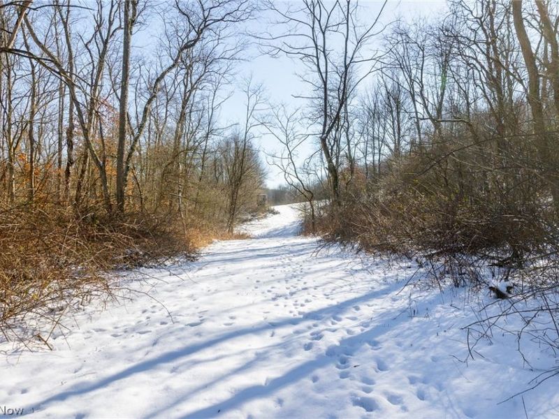 NE Avon Road, Carrollton, OH 44615 Photo 18