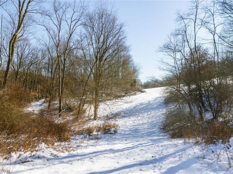 NE Avon Road, Carrollton, OH 44615 Photo 19