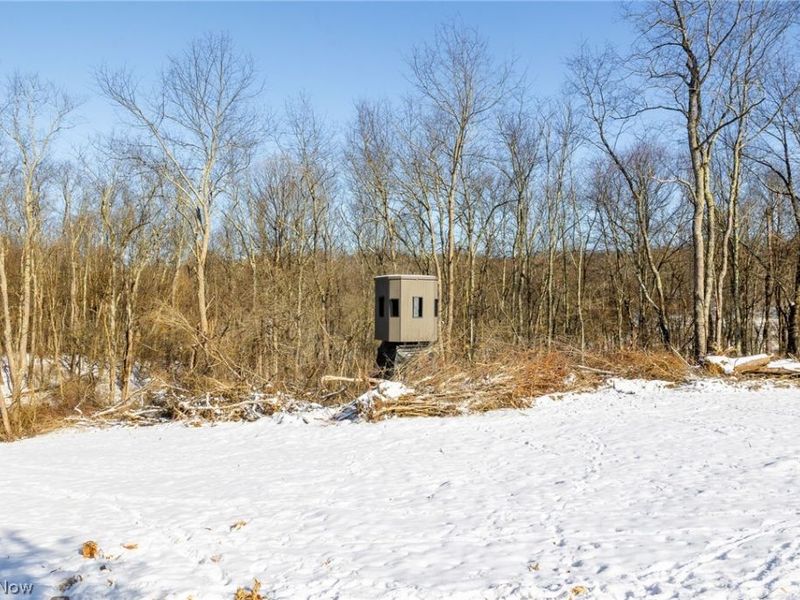 NE Avon Road, Carrollton, OH 44615 Photo 20