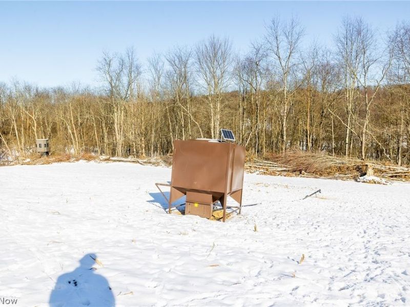 NE Avon Road, Carrollton, OH 44615 Photo 21