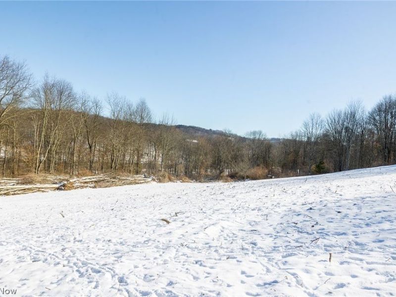 NE Avon Road, Carrollton, OH 44615 Photo 22