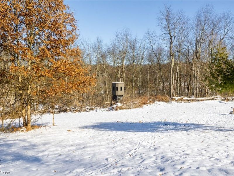 NE Avon Road, Carrollton, OH 44615 Photo 23