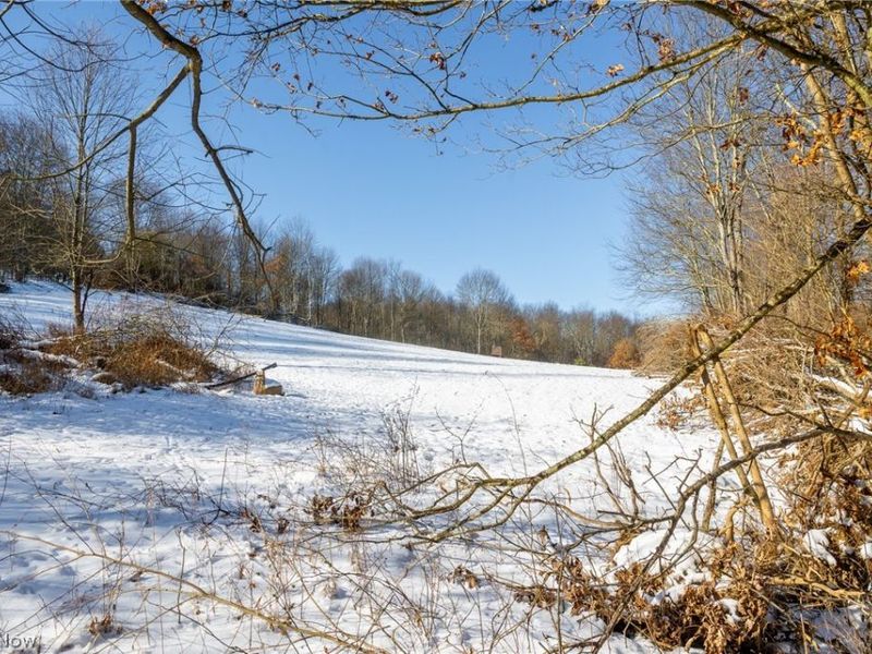 NE Avon Road, Carrollton, OH 44615 Photo 24