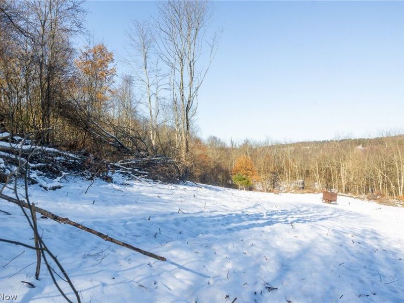 NE Avon Road, Carrollton, OH 44615 Photo 25