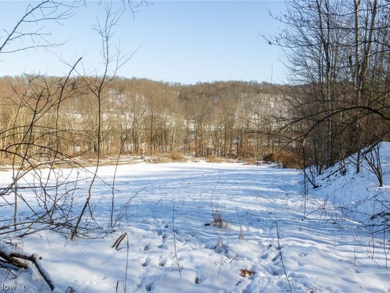 NE Avon Road, Carrollton, OH 44615 Photo 26