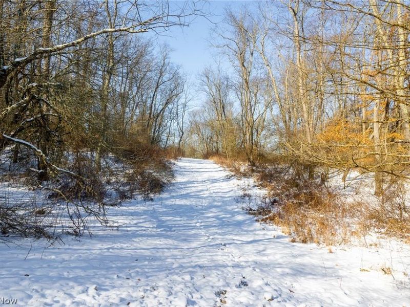 NE Avon Road, Carrollton, OH 44615 Photo 27