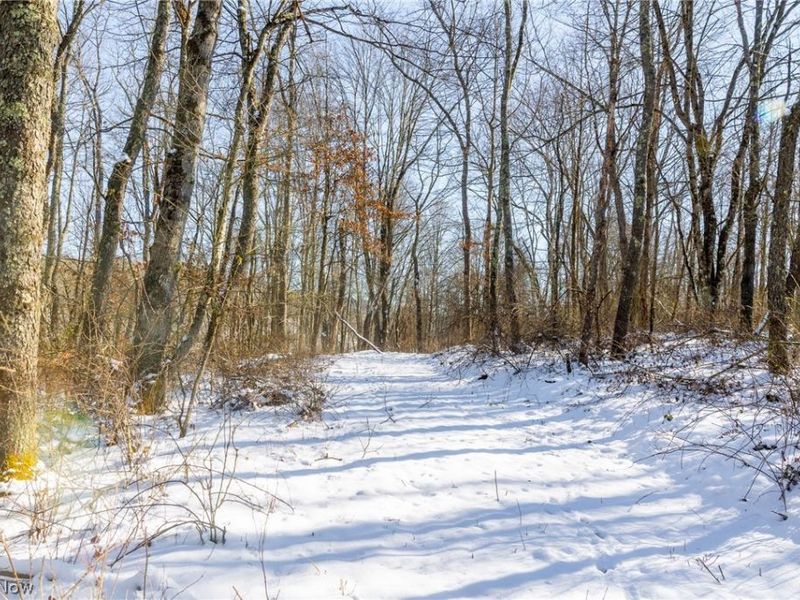 NE Avon Road, Carrollton, OH 44615 Photo 28