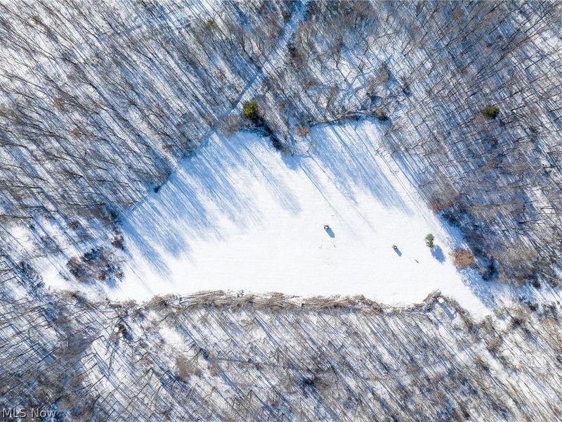 NE Avon Road, Carrollton, OH 44615 Photo 29