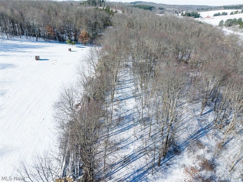 NE Avon Road, Carrollton, OH 44615 Photo 32