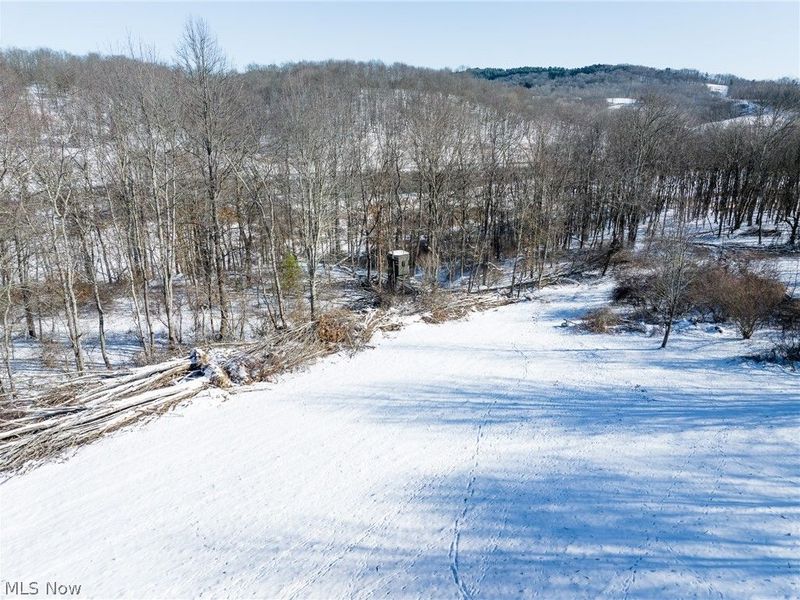 NE Avon Road, Carrollton, OH 44615 Photo 37