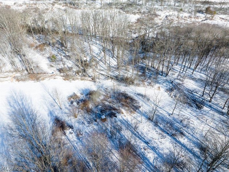 NE Avon Road, Carrollton, OH 44615 Photo 38