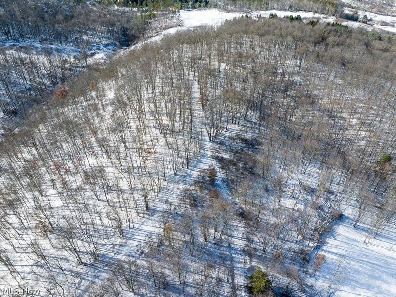 NE Avon Road, Carrollton, OH 44615 Photo 39