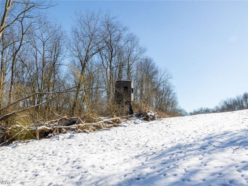 NE Avon Road, Carrollton, OH 44615 Photo 4