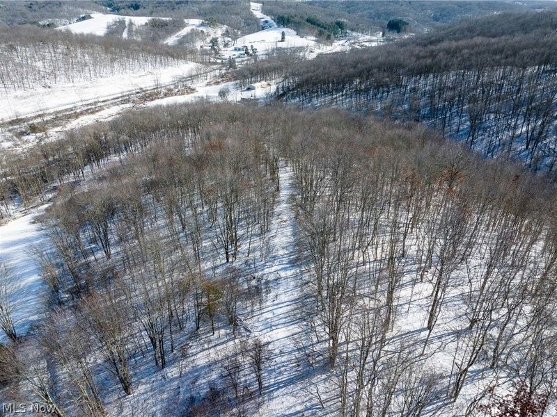 NE Avon Road, Carrollton, OH 44615 Photo 41