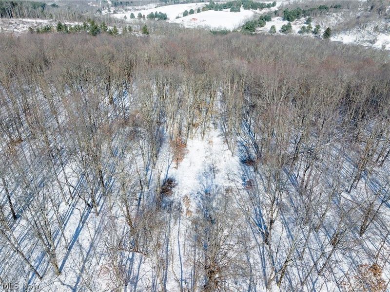 NE Avon Road, Carrollton, OH 44615 Photo 42