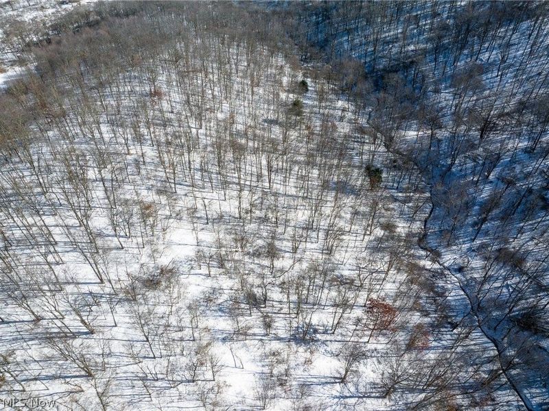 NE Avon Road, Carrollton, OH 44615 Photo 43