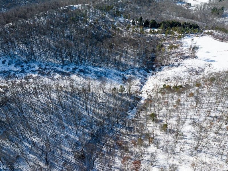 NE Avon Road, Carrollton, OH 44615 Photo 44