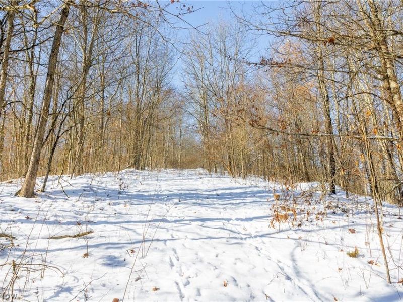 NE Avon Road, Carrollton, OH 44615 Photo 48