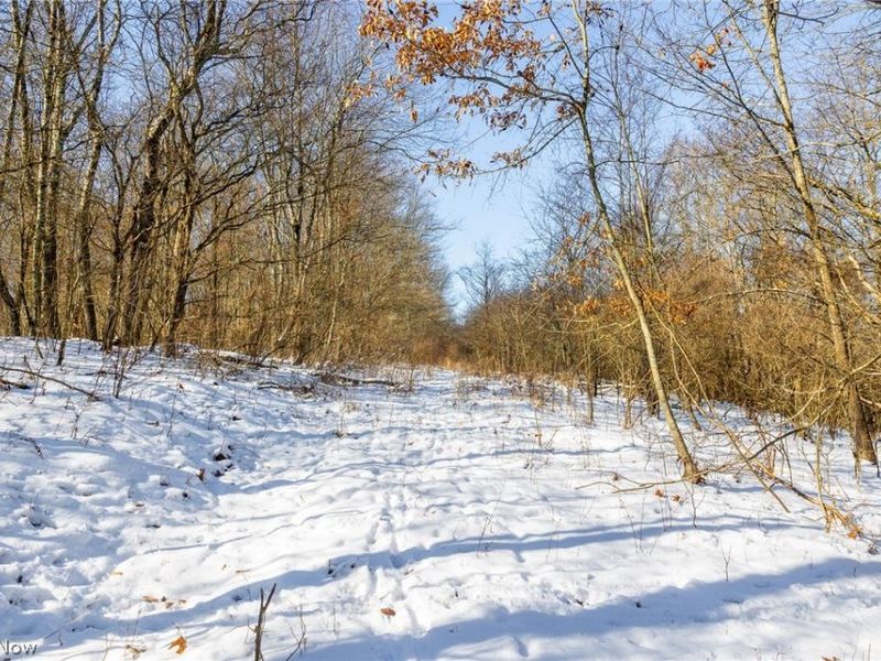 NE Avon Road, Carrollton, OH 44615 Photo 49