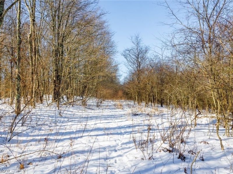 NE Avon Road, Carrollton, OH 44615 Photo 50