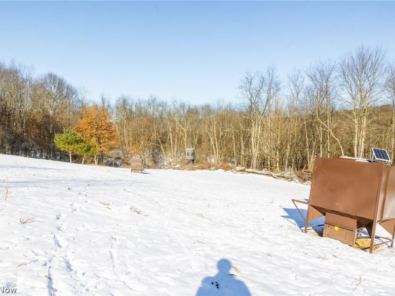 NE Avon Road, Carrollton, OH 44615 Photo 6