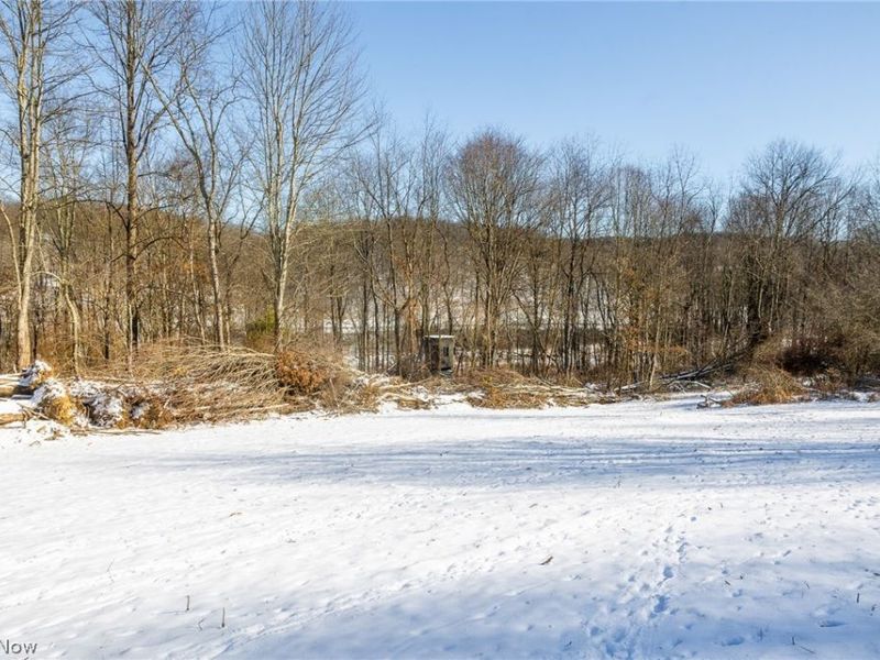 NE Avon Road, Carrollton, OH 44615 Photo 7