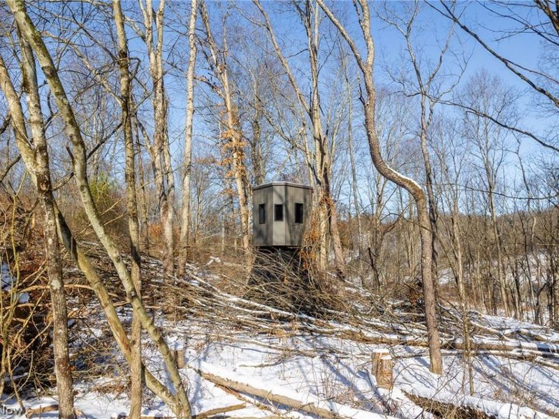 NE Avon Road, Carrollton, OH 44615 Photo 8