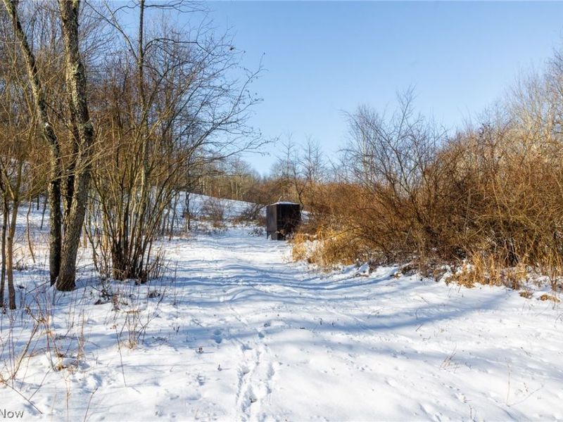 NE Avon Road, Carrollton, OH 44615 Photo 9