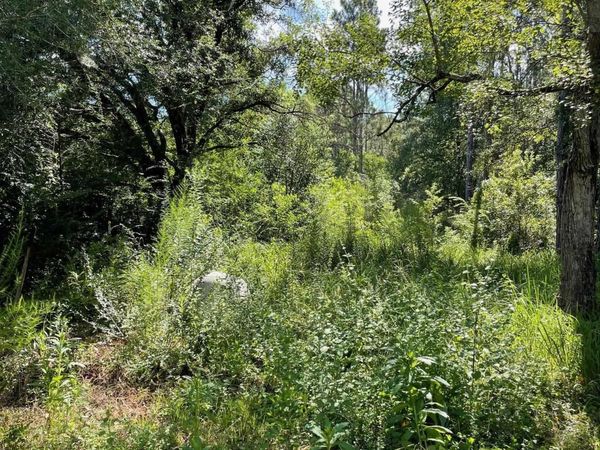 20150 County Road 87, Robertsdale, AL 36567