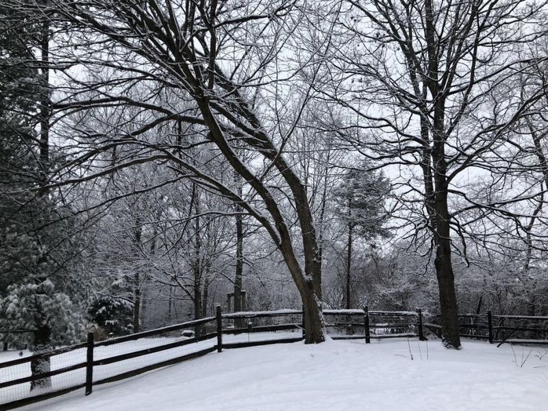 10282 Hempsteade Drive, Union, KY 41091 Photo 45