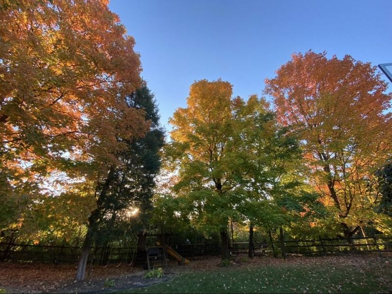 10282 Hempsteade Drive, Union, KY 41091 Photo 48