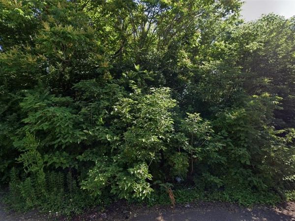 1933 McCasland Avenue , East St Louis, IL 62207