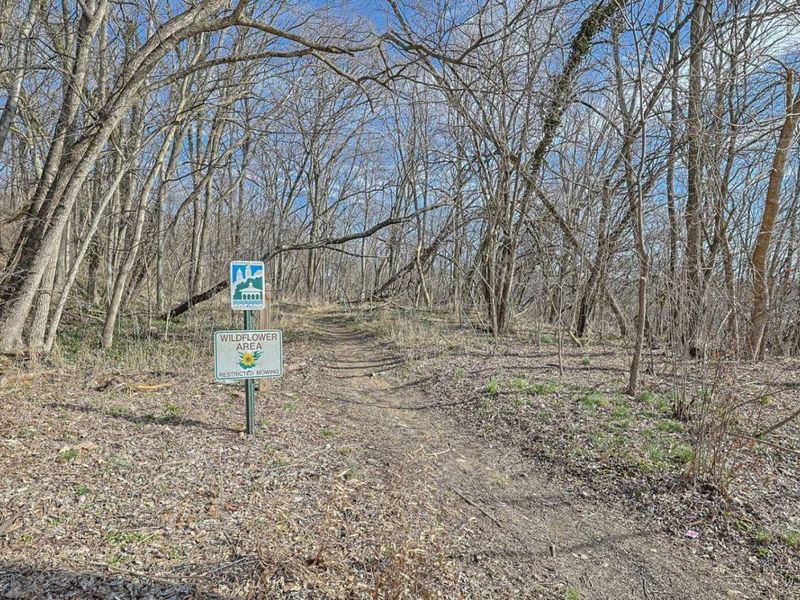 1919 Washburn Street, Cincinnati, OH 45223 Photo 43