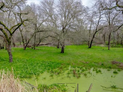 Hickey Trl Lot 19, Loomis, CA 95650 Photo