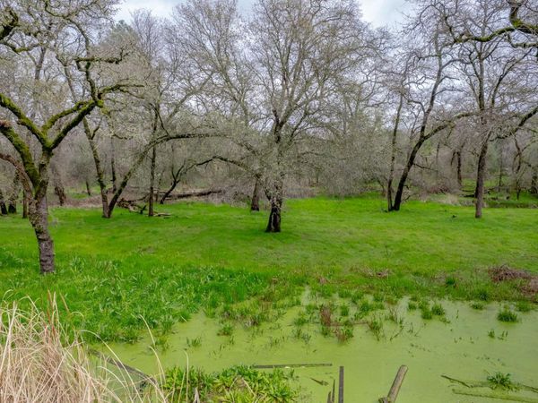 Hickey Trl Lot 19, Loomis, CA 95650