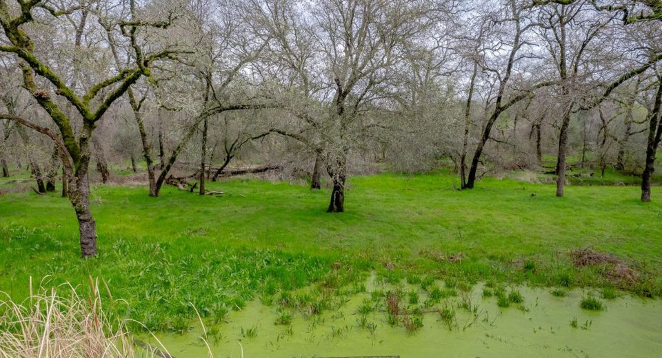 Hickey Trl Lot 19, Loomis, CA 95650 Photo