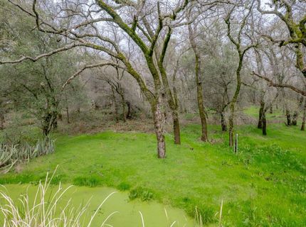 Hickey Trl Lot 19, Loomis, CA 95650 Photo