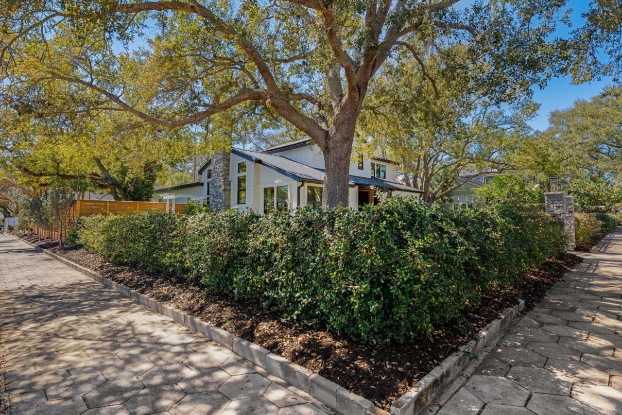 800 17th Avenue N, Saint Petersburg, FL 33704 Photo