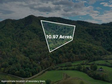 TBD DAVIS CREEK LN, LOVINGSTON, VA 22949