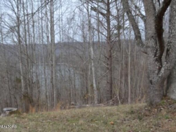 Lots 4 & 5 Fox Hill Rd, Baxter, TN 38544