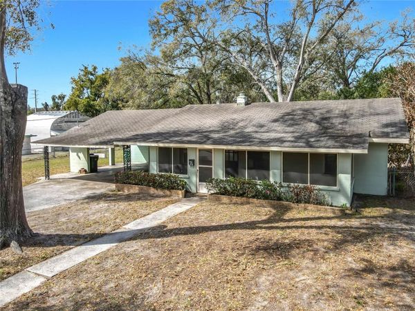 313 S ROSSITER STREET , MOUNT DORA, FL 32757