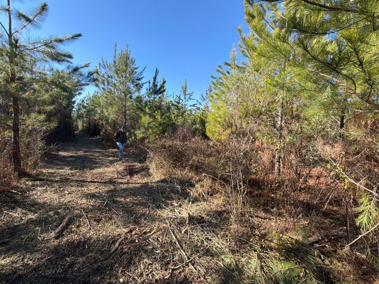 Bff II 6 Brunson Teal Rd Road Photo 12